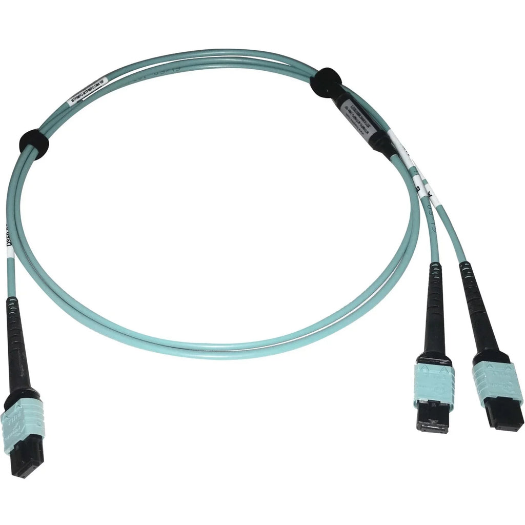 Eaton Tripp Lite Sizeeries 400G Multimode 50/125 OM4 Plenum Fiber Optic Cable, 24F MTP/MPO-PC to (x2) 12F MTP/MPO-PC (F/F), Aqua, 1 m