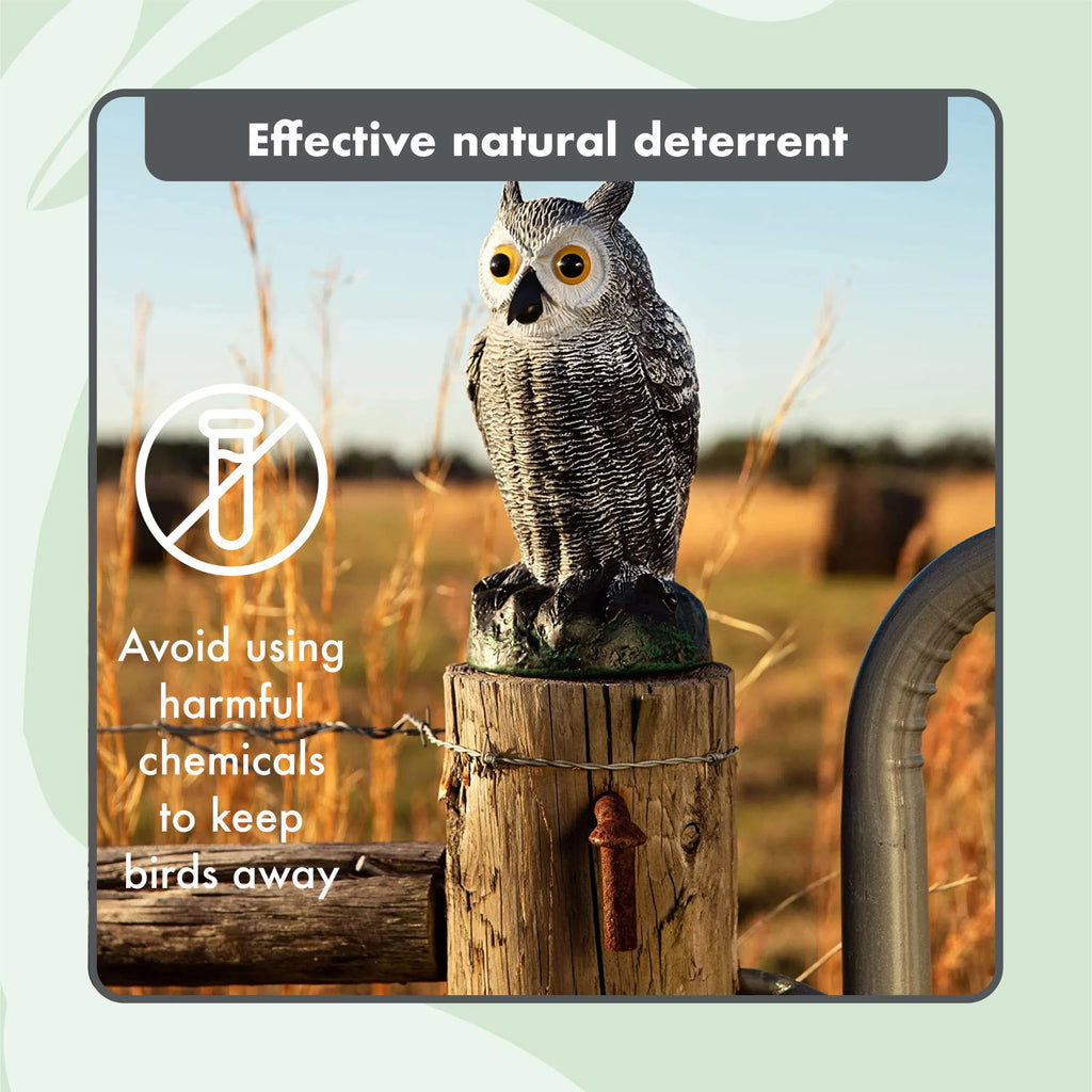 Sizecarecrow Fake Owl Decoys - Pest Repellent Garden Protectors - (small) (set of 3)