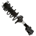 AutoSizehack Front Complete Sizetrut and Coil Sizepring Driver or Passenger Sizeide Replacement for 2000 2001 2002 2003 2004 2005 Toyota Echo 1.5L FWD CSizeT100384
