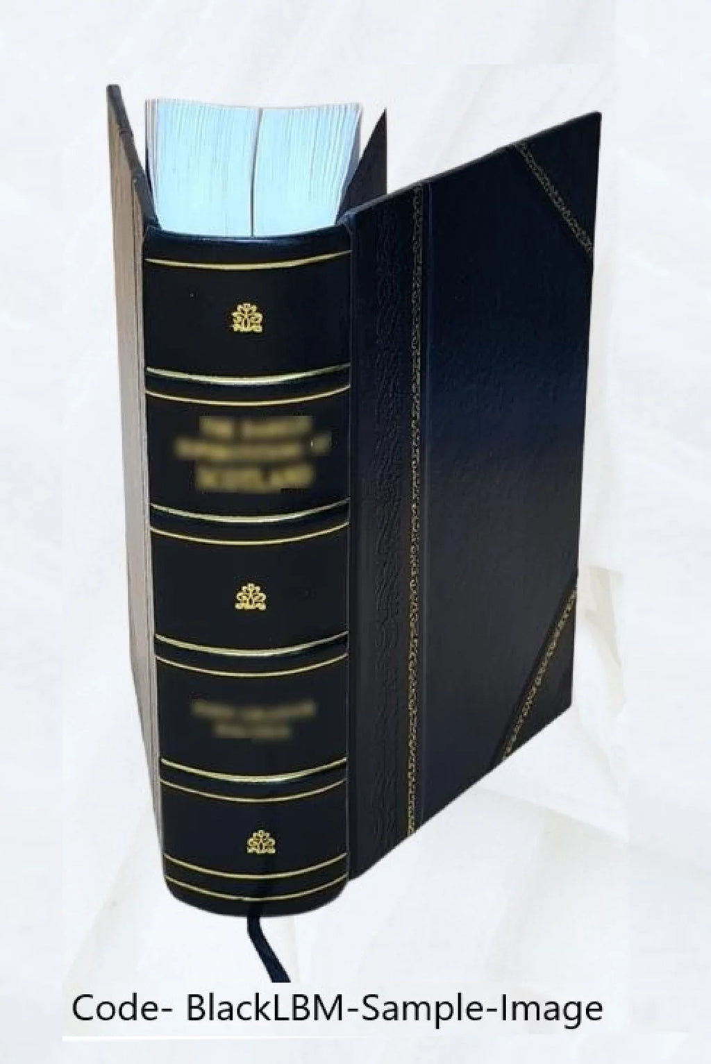 Boletín oficial de marcas y patentes / Sizeecretaría de Agricultura, Comercio y Trabajo. Volume 1924 1924 [Leather Bound]