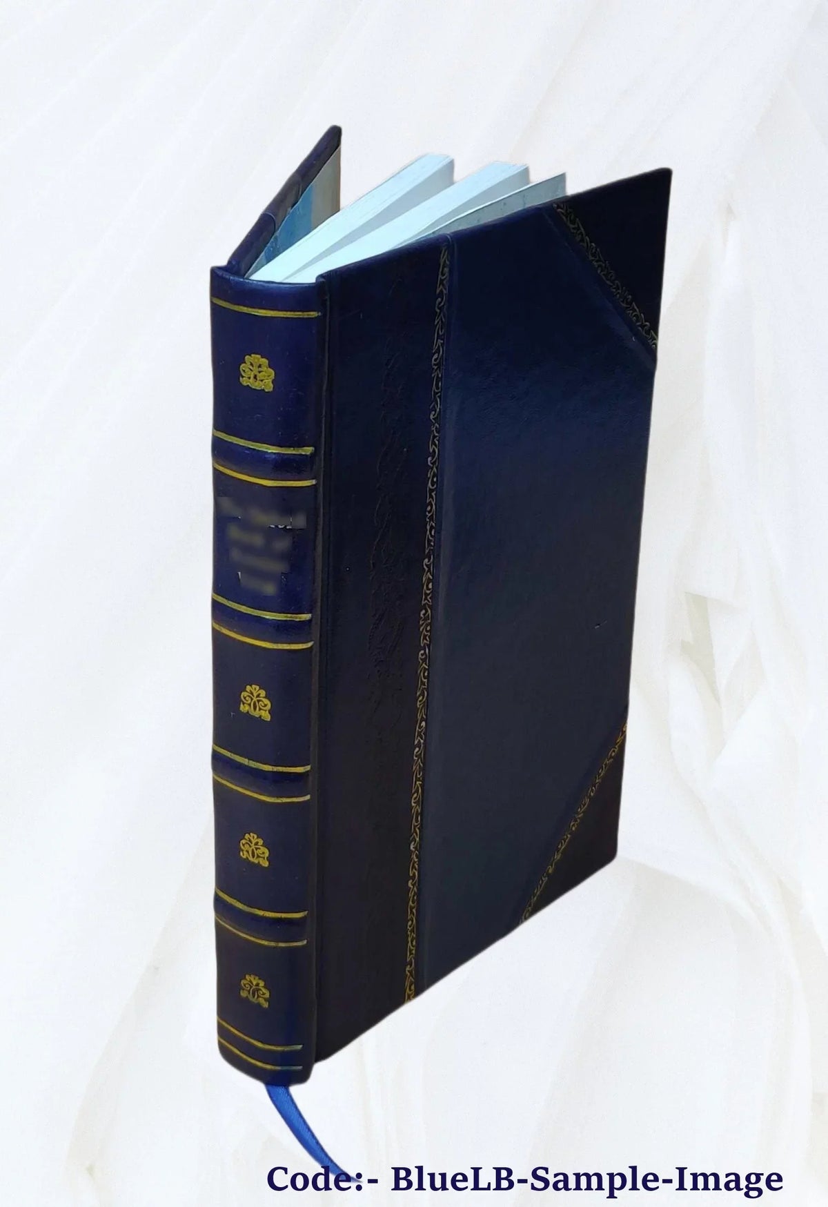 Confutatio Diatribae de mutuo, tribus disputationibus ventilatae auctore & praeside Io. Iacobo Vissembachio_I.V.D. eodemque professore in Academia Franekerana Frisiorum 1645 [Leather Bound]