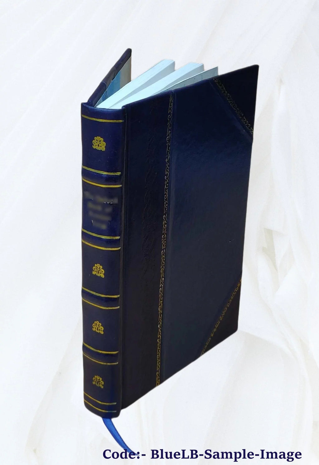 Topee And Turban 1921 [Leather Bound]