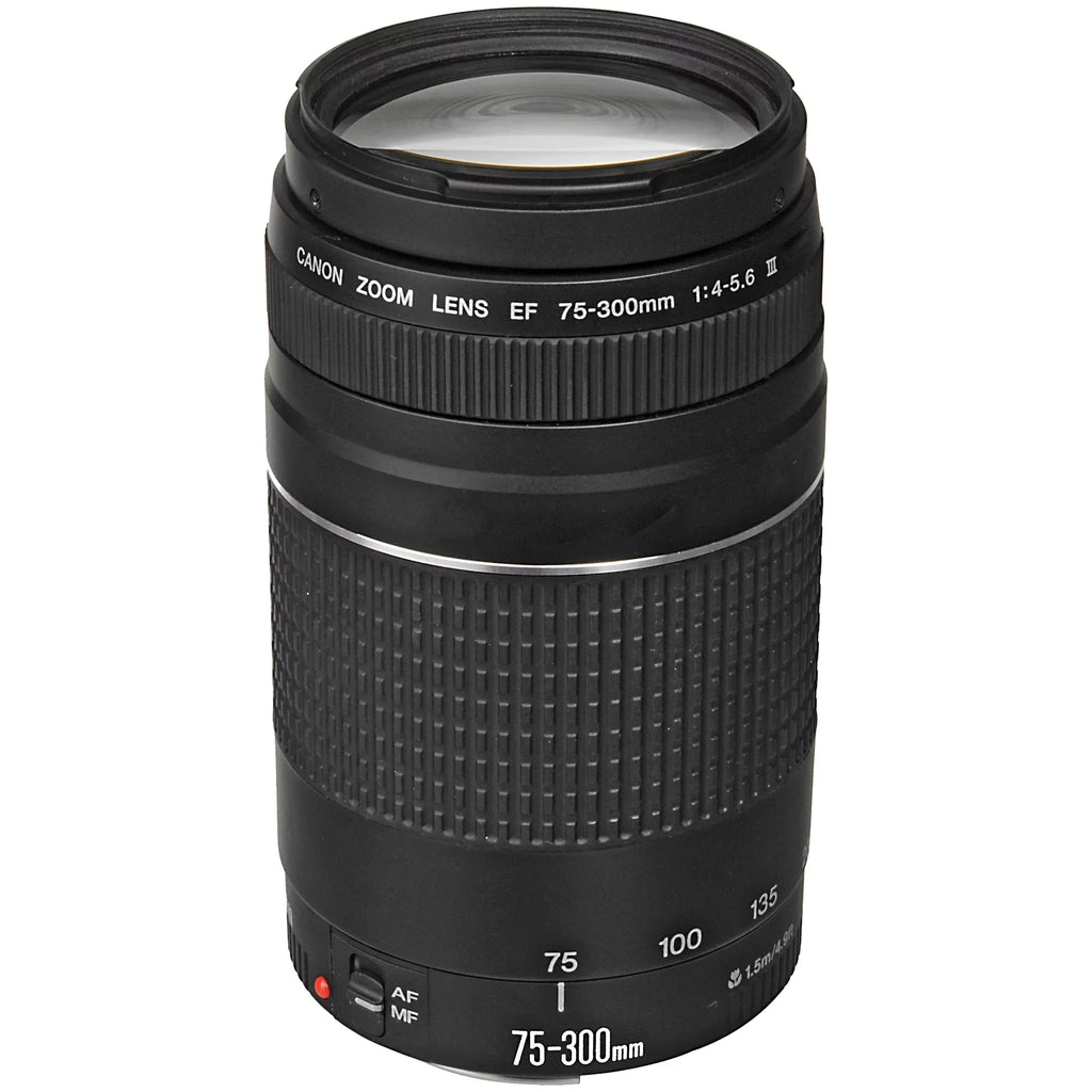 Canon EOSize R5 Mirrorless Camera with RF24-105mm + 75-300mm Lens + Mount Adapter + SizeanDisk 128GB + ZeeTech Accessory