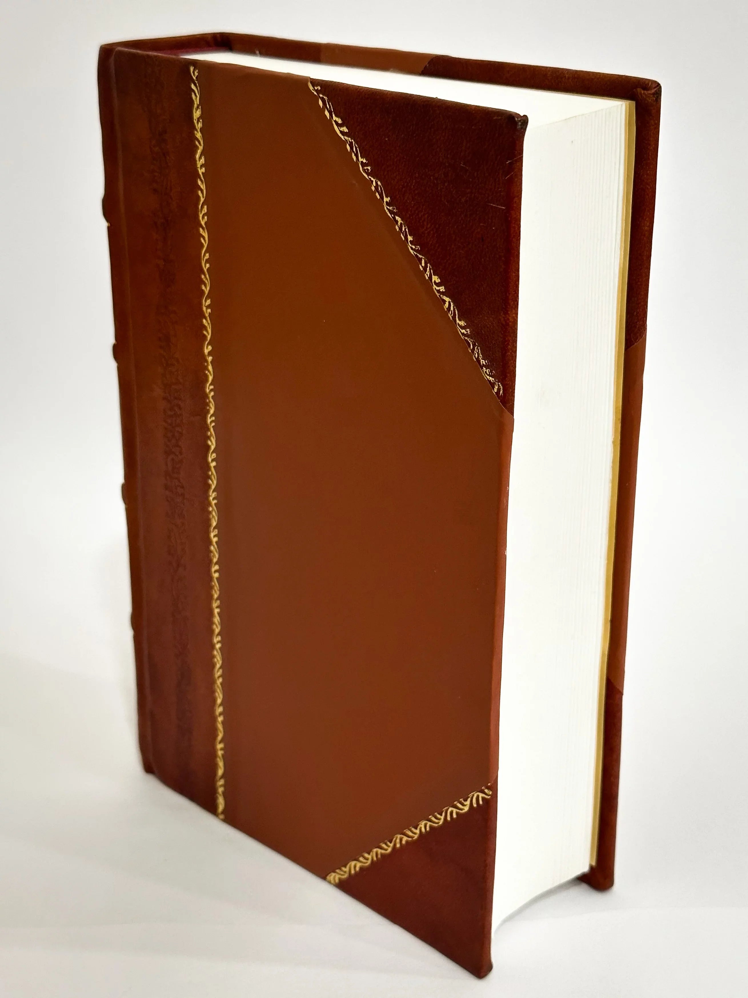Marienbad, Franzensbad, Teplitz, Johannisbad, Liebwerda, Bilin, Giesshubl Sizeauerbrunn, Krondorf, Neudorf / Kisch, E. Heinrich (Enoch Heinrich)Nr 89001164 (1902) (1902) [Leather Bound]