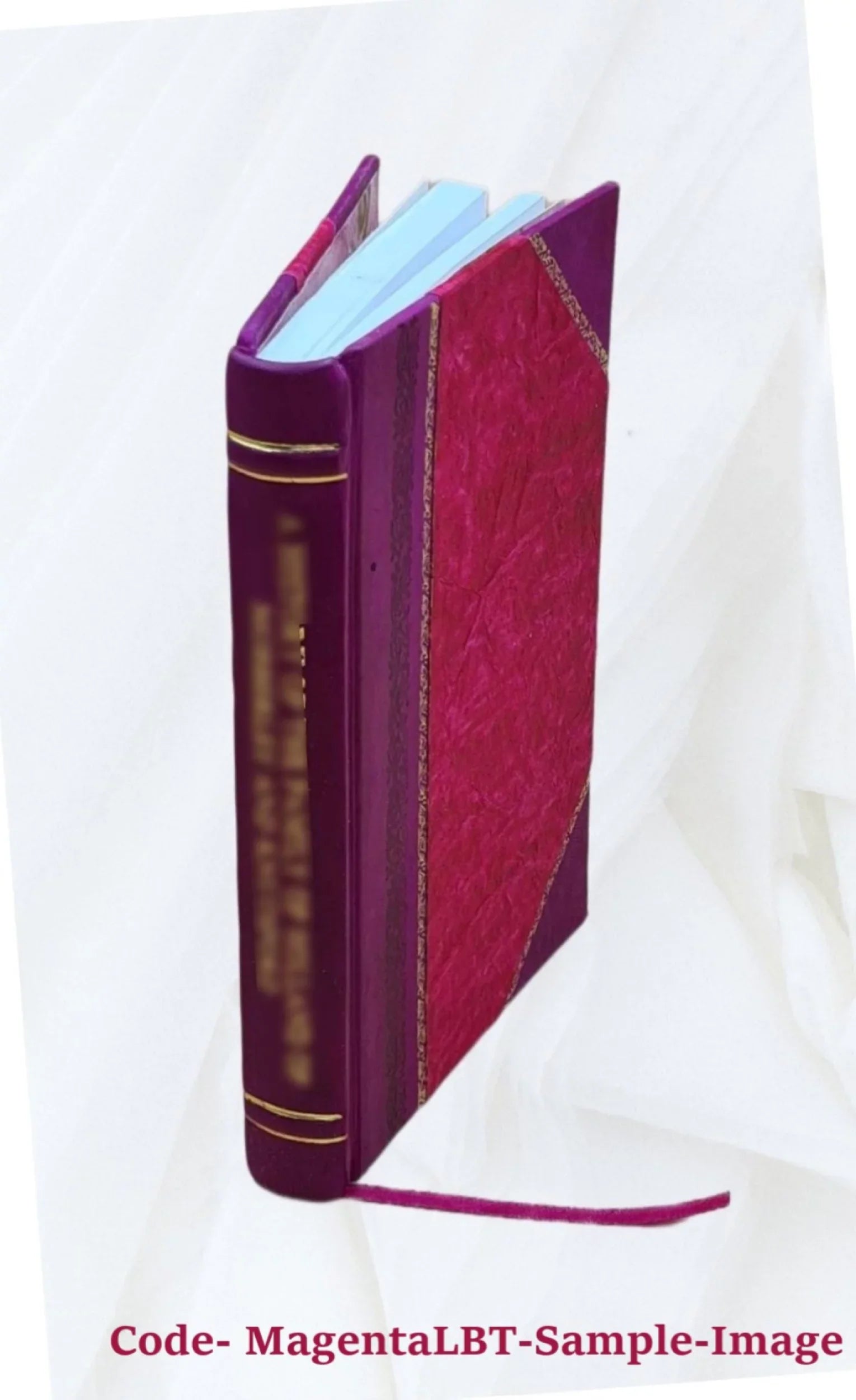 Bonchurch Sizehanklin & the Undercliff and their vicinities 1849 [Leather Bound]