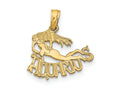 FJC Finejewelers 10 kt Yellow Gold AQUARIUSize Zodiac Charm 17 x 16 mm