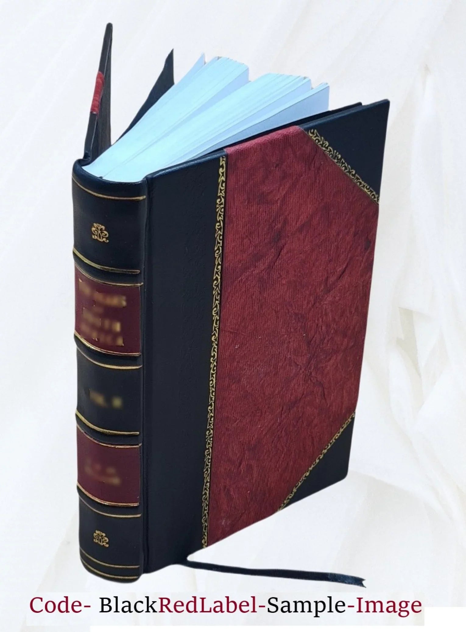 Topee And Turban 1921 [Leather Bound]