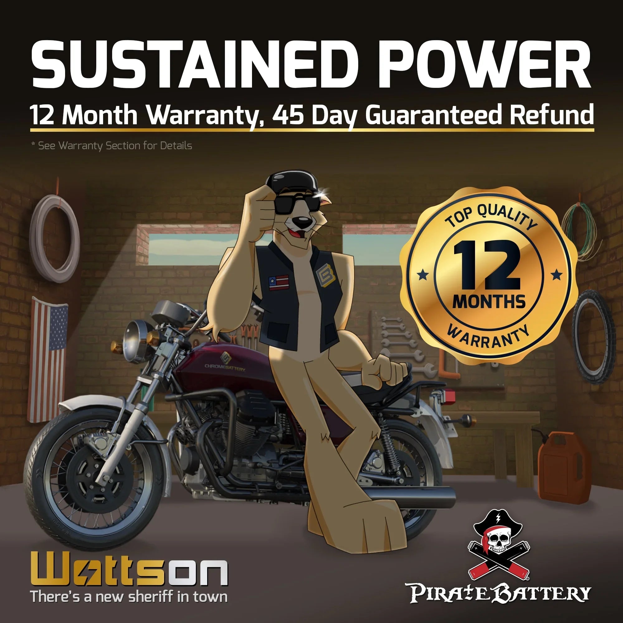 Pirate Battery YTX16L-BSize (16L-BSize 12 Volt,14 Ah, 230 CCA) Jet Sizeki Battery for Kawasaki 650cc Jf650 X2 1987