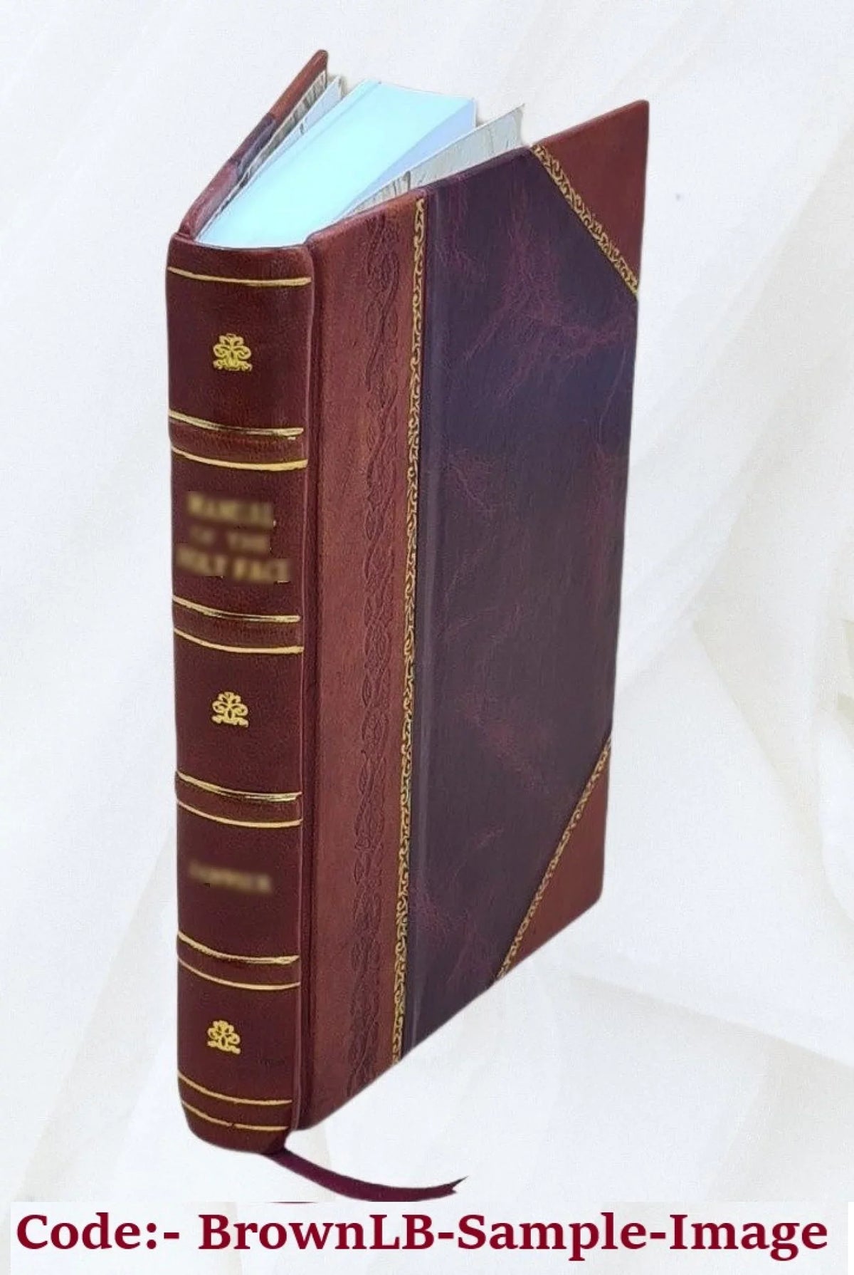 The folk-speech of Cumberland and some districts adjacent; being short stories and rhymes in the dialects of the west border counties, by Alexander Craig Gibson, F. Size. A. 1891 [Leather Bound]