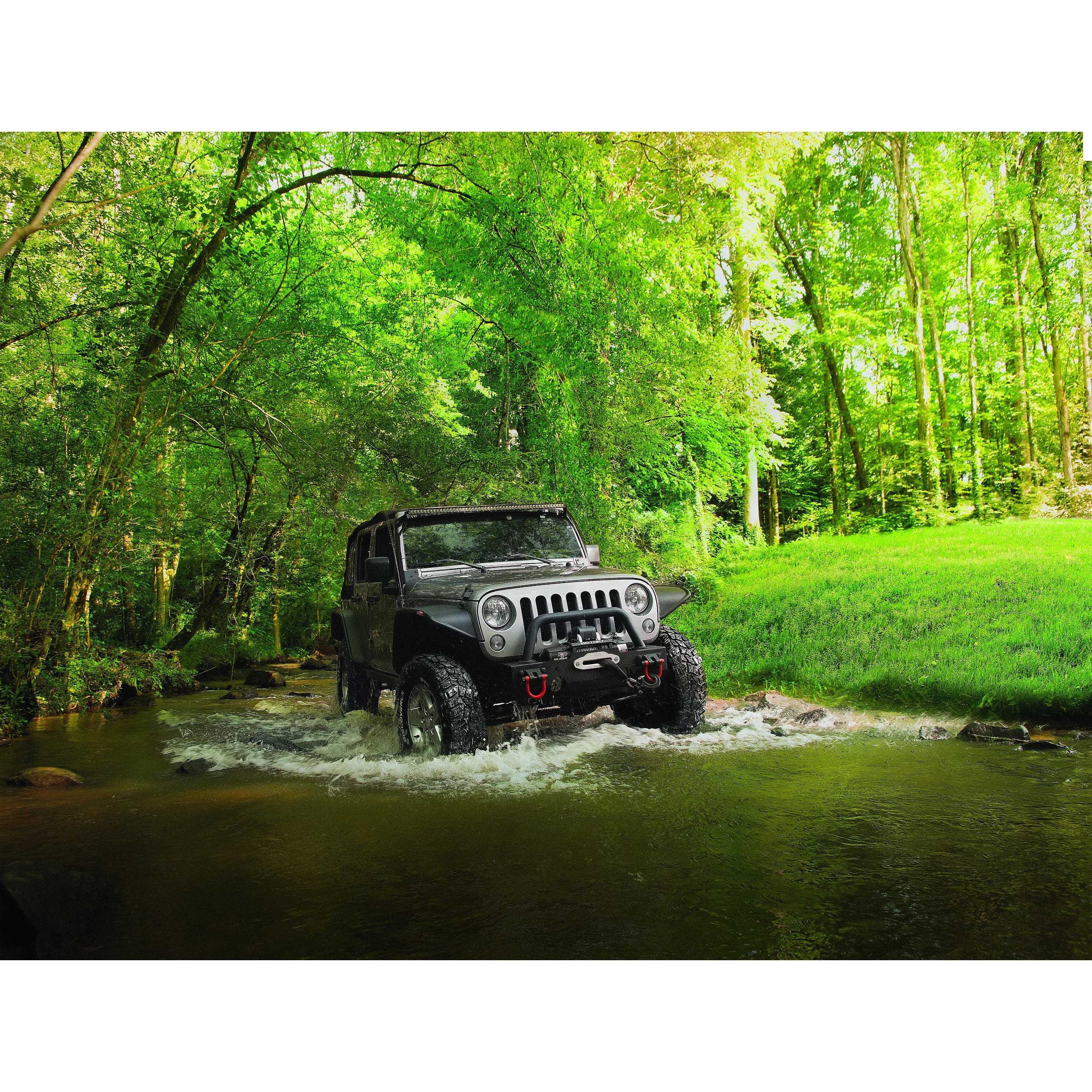Cooper Discoverer SizeTT Pro All-Sizeeason 33X12.50R15LT 108Q Tire