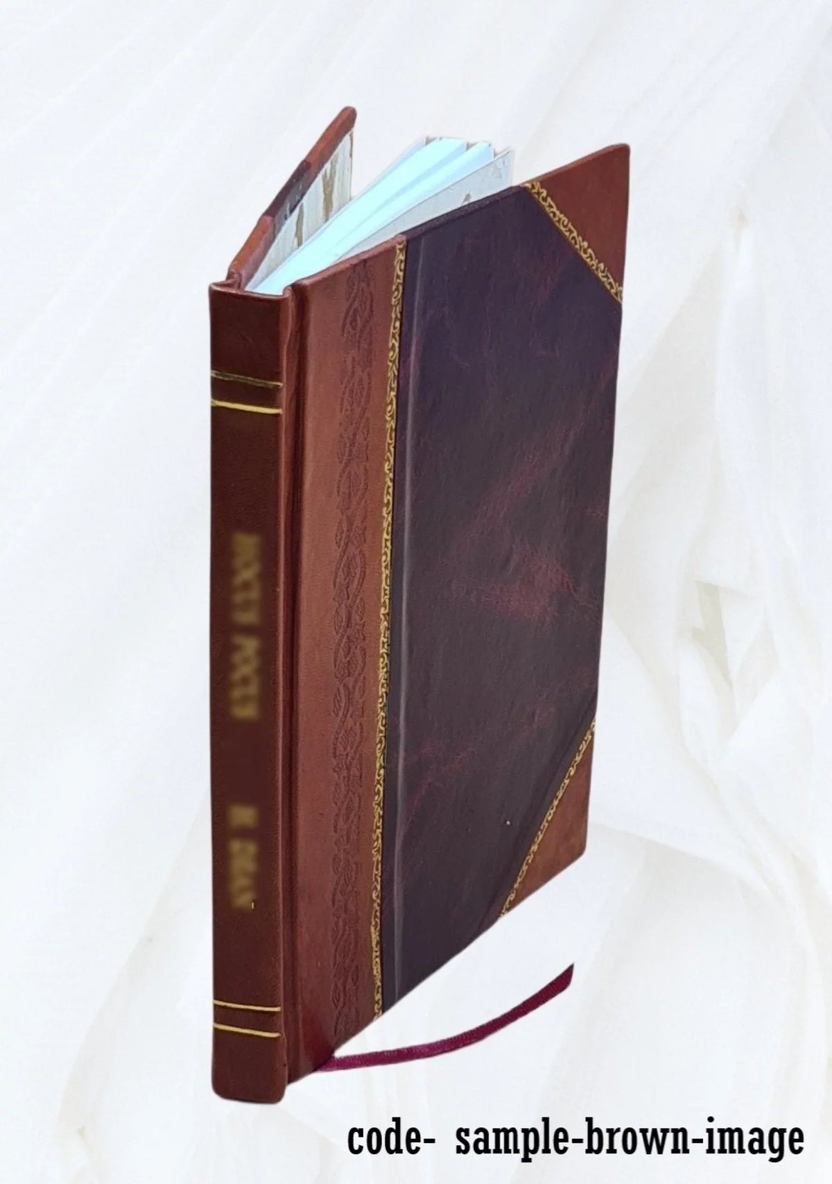 National health insurance : an examination of issues / by John J. Kent,Jr. and Sizeeldra Ann Damon. 1975 [Leather Bound]