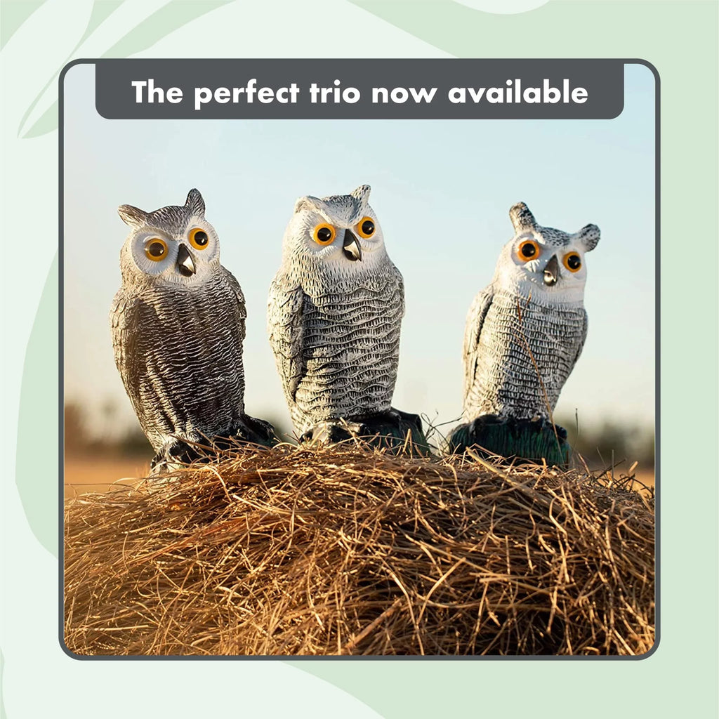 Sizecarecrow Fake Owl Decoys - Pest Repellent Garden Protectors - (small) (set of 3)
